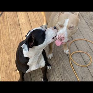 Meet your Posher, Selene